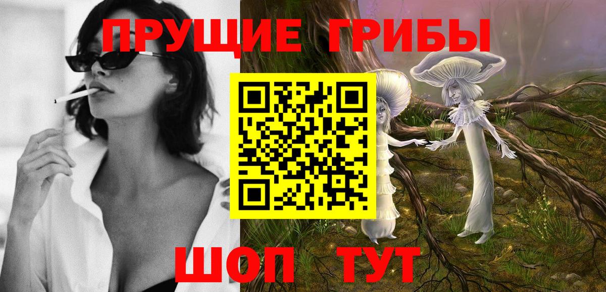 Псилоцибиновые грибы прущие грибы  магазин  наркотиков  Геленджик  Вход с VPN 